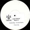 Josh Gabriel - Wave 3 Charlie May Tsunami Remix