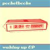 descargar álbum Pocketbooks - Waking Up