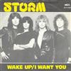 descargar álbum Storm - Wake Up