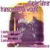 lytte på nettet staplerfahrer - Transcendental Wound