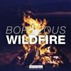 lytte på nettet Borgeous - Wildfire