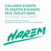 télécharger l'album Callaway & Rosta Vs Faustix & ImanoS Feat Hayley Gene - Say What You Want