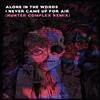 baixar álbum Alone In The Woods - I Never Came Up For Air Hunter Complex Remix