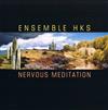 lataa albumi Ensemble HKS - Nervous Meditation