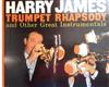 ladda ner album Harry James - Trumpet Rhapsody And Other Great Instrumentals