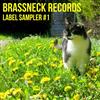 écouter en ligne Various - Brassneck Records Label Sampler 1