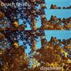 ouvir online Beach Fossils - Daydream