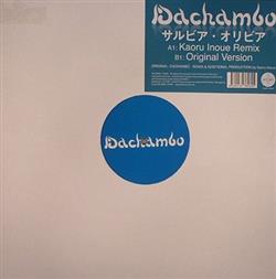 Download Dachambo - Salvia Olivia