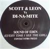 baixar álbum Scott & Leon Vs DiNaMite - Sound Of Eden Every Time I See The Girl